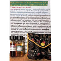 Business Success Essential Oil Giftpack