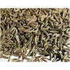 Caraway Seed
